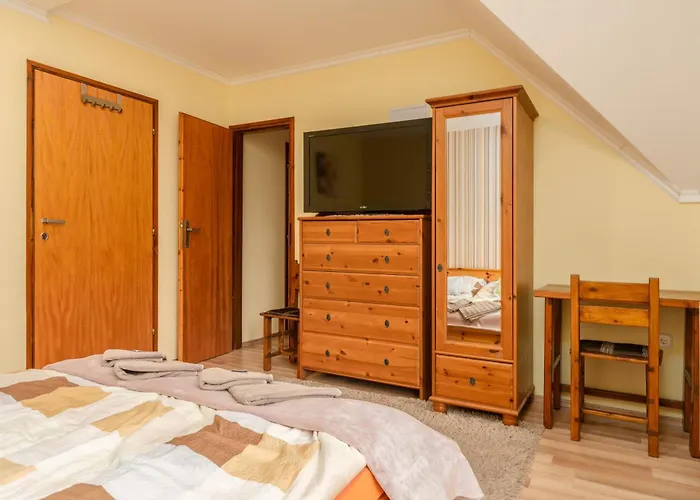 Janika פוניארצוושהג'